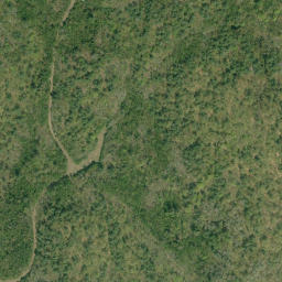 Satellite imagery of Long Lake Range, CA