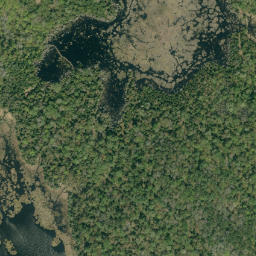 Satellite imagery of Buck Hill, CA