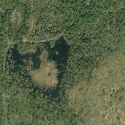Satellite imagery of Buck Hill, CA