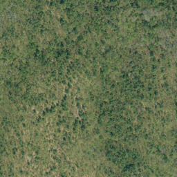 Satellite imagery of Jonsons Lake Mountain, CA