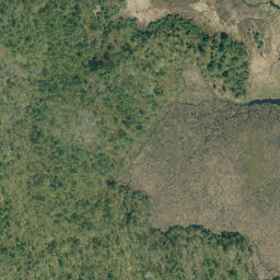 Satellite imagery of Jonsons Lake Mountain, CA