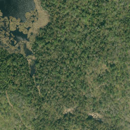 Satellite imagery of Buck Hill, CA