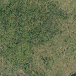 Satellite imagery of Buck Hill, CA
