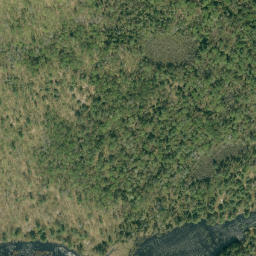 Satellite imagery of Buck Hill, CA