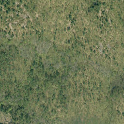 Satellite imagery of Jonsons Lake Mountain, CA