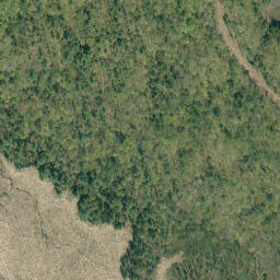 Satellite imagery of Bluff Rock, CA