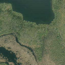 Satellite imagery of Brewster Lake Mountain, CA