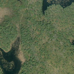 Satellite imagery of Shed Hill, CA