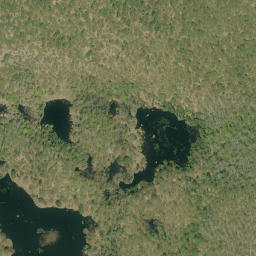 Satellite imagery of Big Oak Mountain, CA