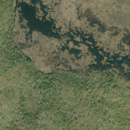 Satellite imagery of Brewster Lake Mountain, CA