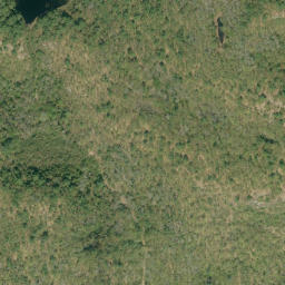 Satellite imagery of Shed Hill, CA