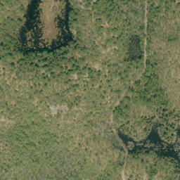 Satellite imagery of Shed Hill, CA