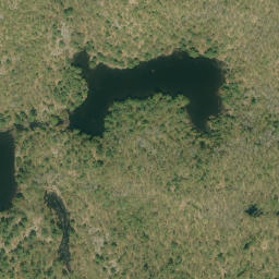 Satellite imagery of Big Oak Mountain, CA