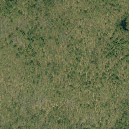 Satellite imagery of Goose Egg Mountain, CA