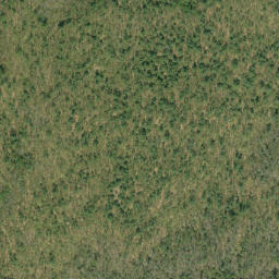 Satellite imagery of Goose Egg Mountain, CA