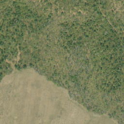 Satellite imagery of Shed Hill, CA