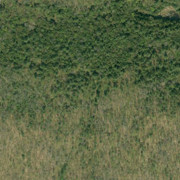 Satellite imagery of Goose Egg Mountain, CA