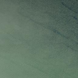 Satellite imagery of Ninemile Point, US