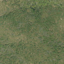 Satellite imagery of Badhams Mountain, CA