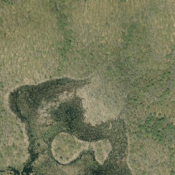 Satellite imagery of Pine Ridge, CA