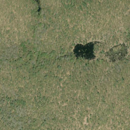 Satellite imagery of Pine Ridge, CA