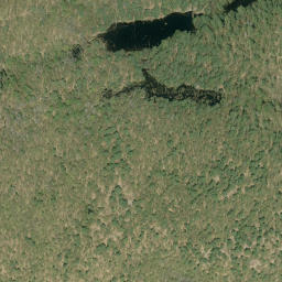 Satellite imagery of Pine Ridge, CA