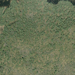 Satellite imagery of McDougalls Mountain, CA