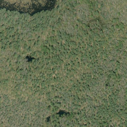 Satellite imagery of McDougalls Mountain, CA