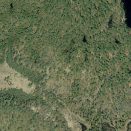 Satellite imagery of Oak Hill, CA