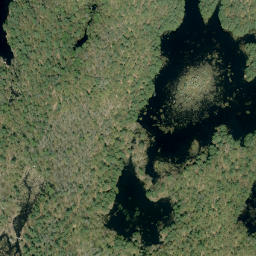 Satellite imagery of Oak Hill, CA