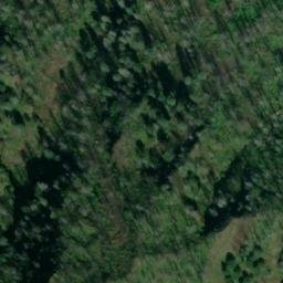 Satellite imagery of Wauna Point, US