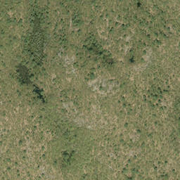 Satellite imagery of Badhams Mountain, CA