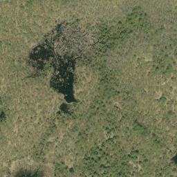 Satellite imagery of Badhams Mountain, CA