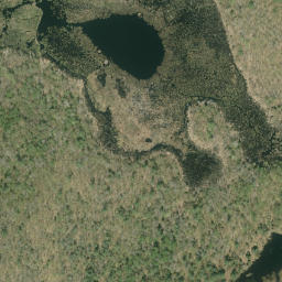 Satellite imagery of Pine Ridge, CA