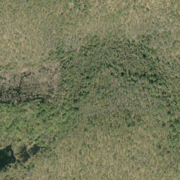 Satellite imagery of Pine Ridge, CA