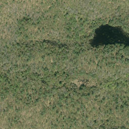 Satellite imagery of Pine Ridge, CA
