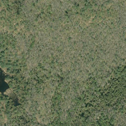 Satellite imagery of McDougalls Mountain, CA
