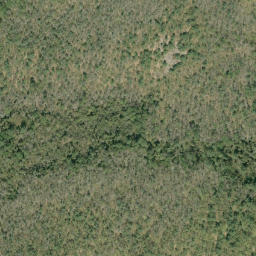 Satellite imagery of McDougalls Mountain, CA
