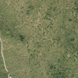 Satellite imagery of Badhams Mountain, CA