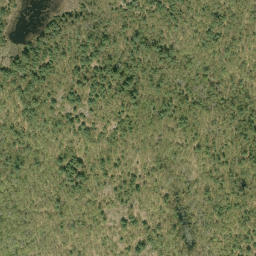 Satellite imagery of Badhams Mountain, CA