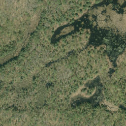 Satellite imagery of Pine Ridge, CA