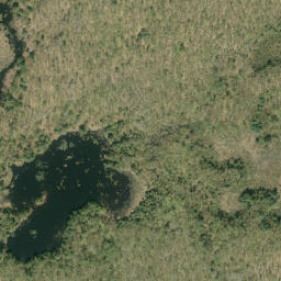 Satellite imagery of Pine Ridge, CA