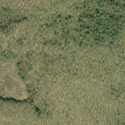 Satellite imagery of Pine Ridge, CA