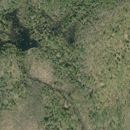 Satellite imagery of McDougalls Mountain, CA