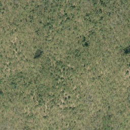 Satellite imagery of McDougalls Mountain, CA