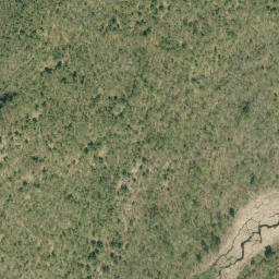 Satellite imagery of McDougalls Mountain, CA