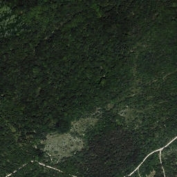Satellite imagery of Golič, IT