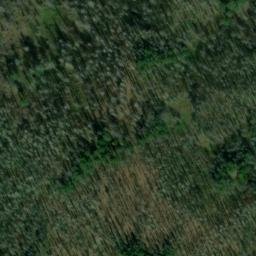 Satellite imagery of Wauna Point, US