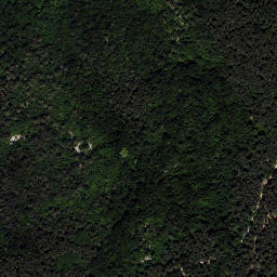 Satellite imagery of Videz' 1931, HR