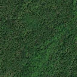 Satellite imagery of Tamarack Point, CA